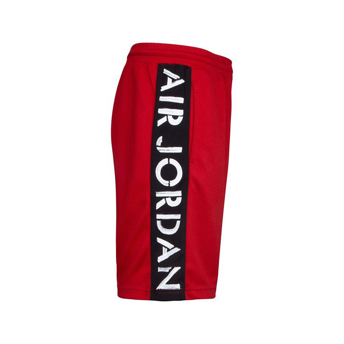 jumpman air gfx fleece pant