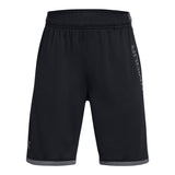 Stunt 3 0 Print Short - Denny's