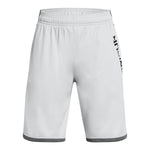 Stunt 3 0 Print Short - Denny's