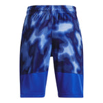 Stunt Plus Print Short - Denny's