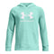 Rival Fleece Big Logo Hoodie - Denny's