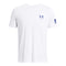 Freedom Flag Gradient Tee - Denny's