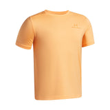 Under Armour Vanish Tee