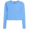 Long Sleeve Crop Top - Denny's