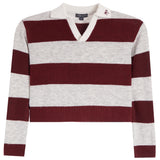 A cropped long-sleeve V-neck sweater with horizontal stripes in deep burgundy and light heather gray, featuring a ribbed hem and cuffs, and a small embroidered logo on the collar.