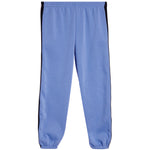 Sport Stripe Fleece Jogger - Denny's