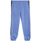 Sport Stripe Fleece Jogger - Denny's