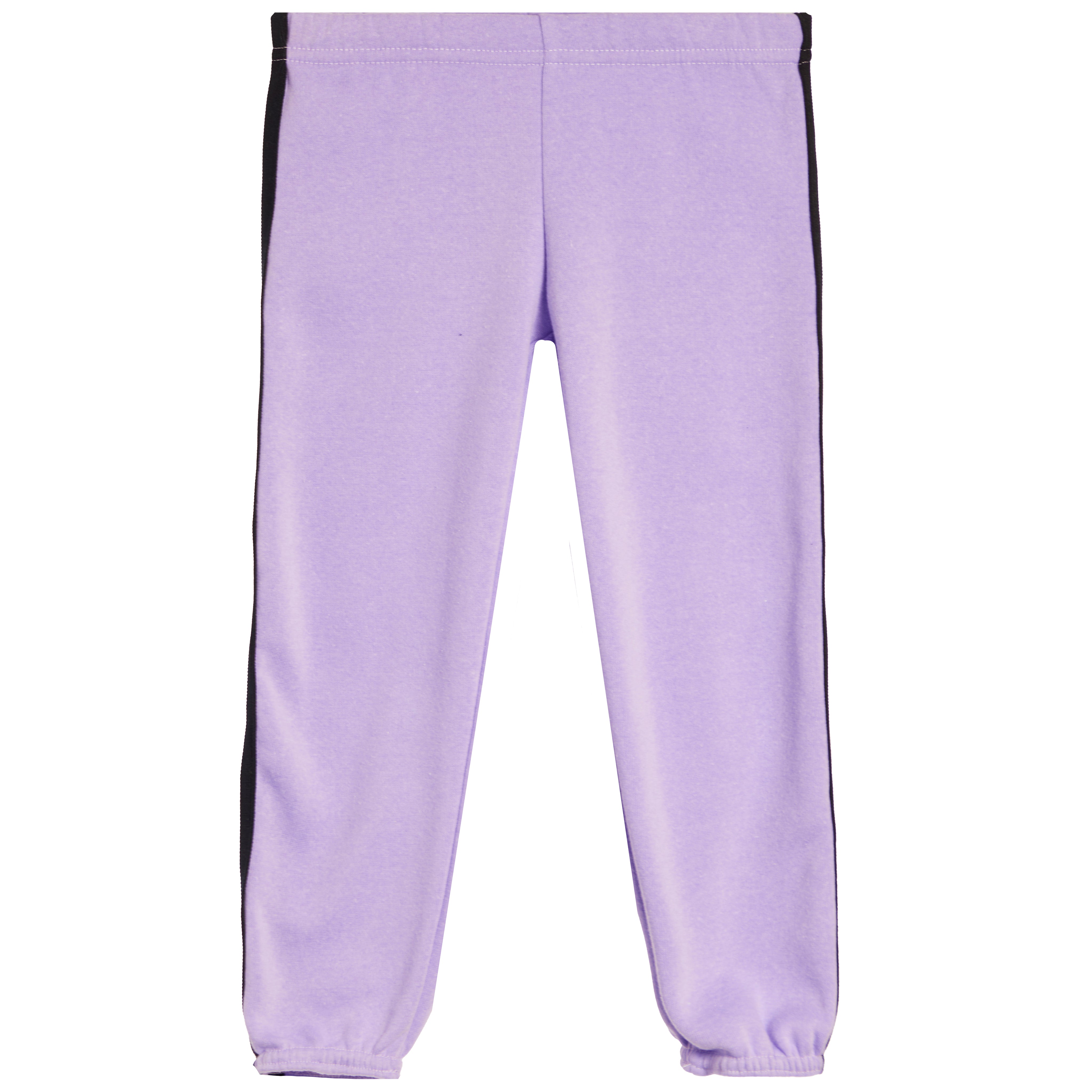 Sport Stripe Fleece Jogger - Denny's