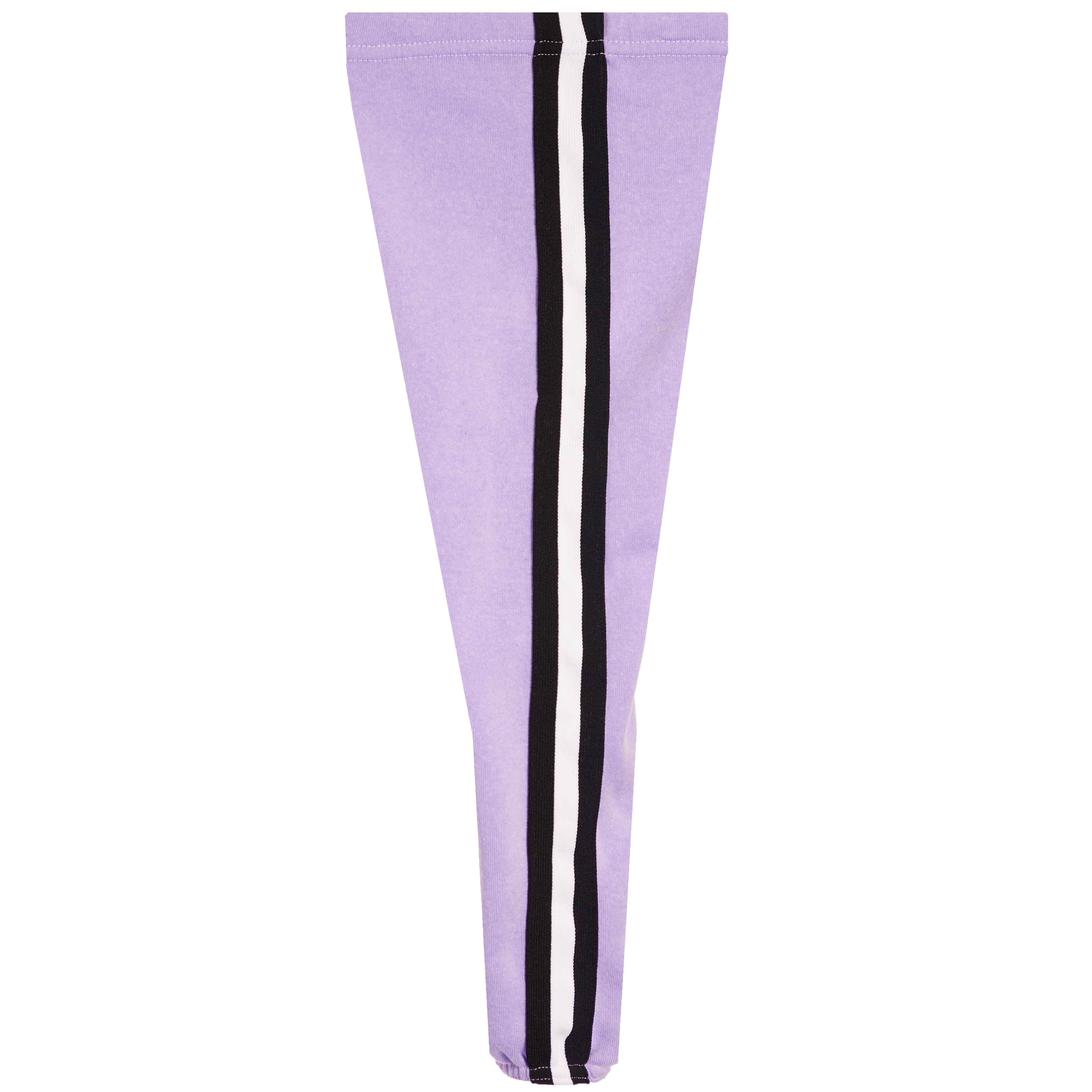 Sport Stripe Fleece Jogger - Denny's