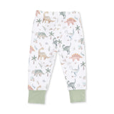 2pc Sweet Baby Dino Loungewear Set