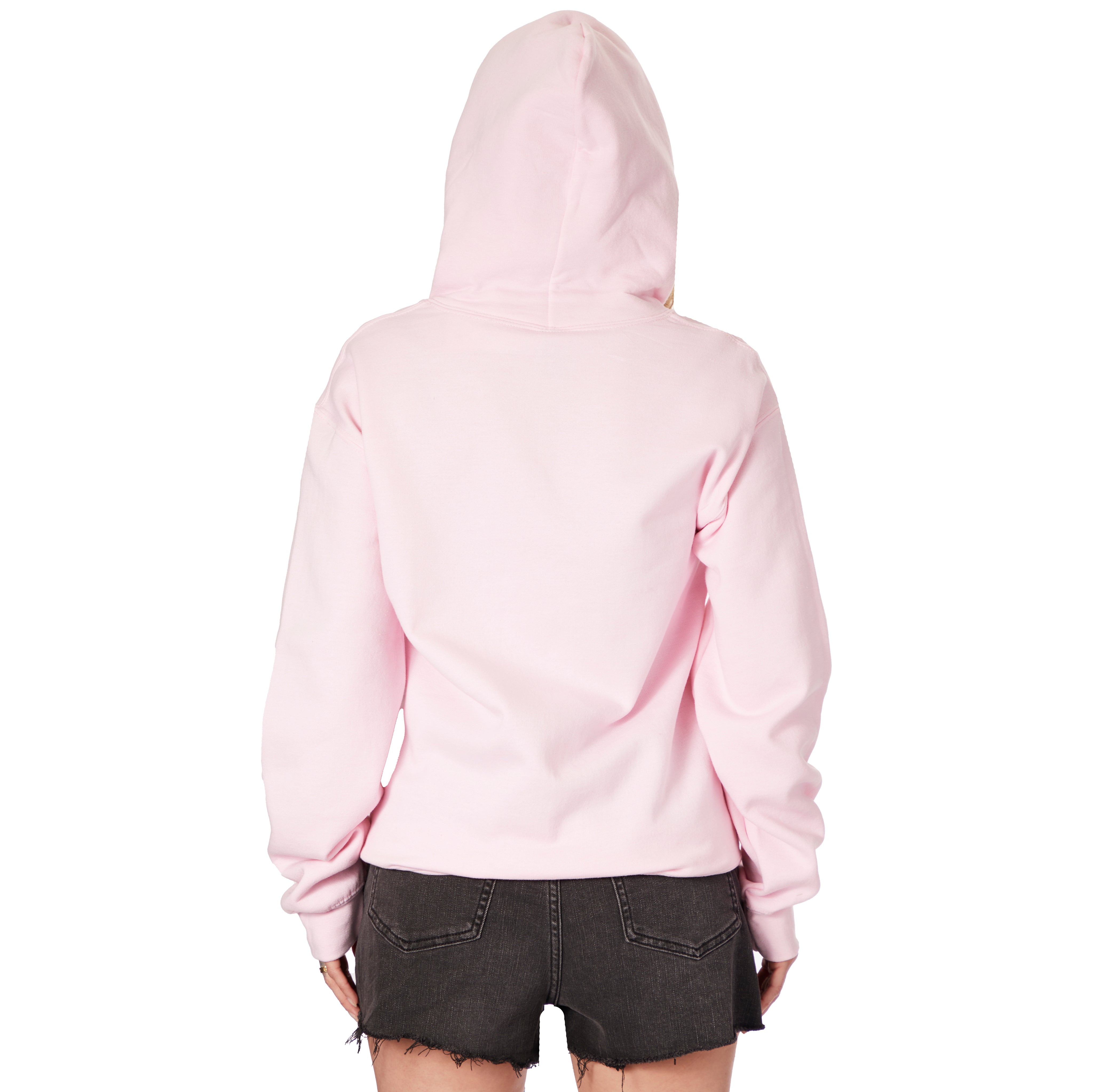 North Sport Culture Hoodie - Denny's