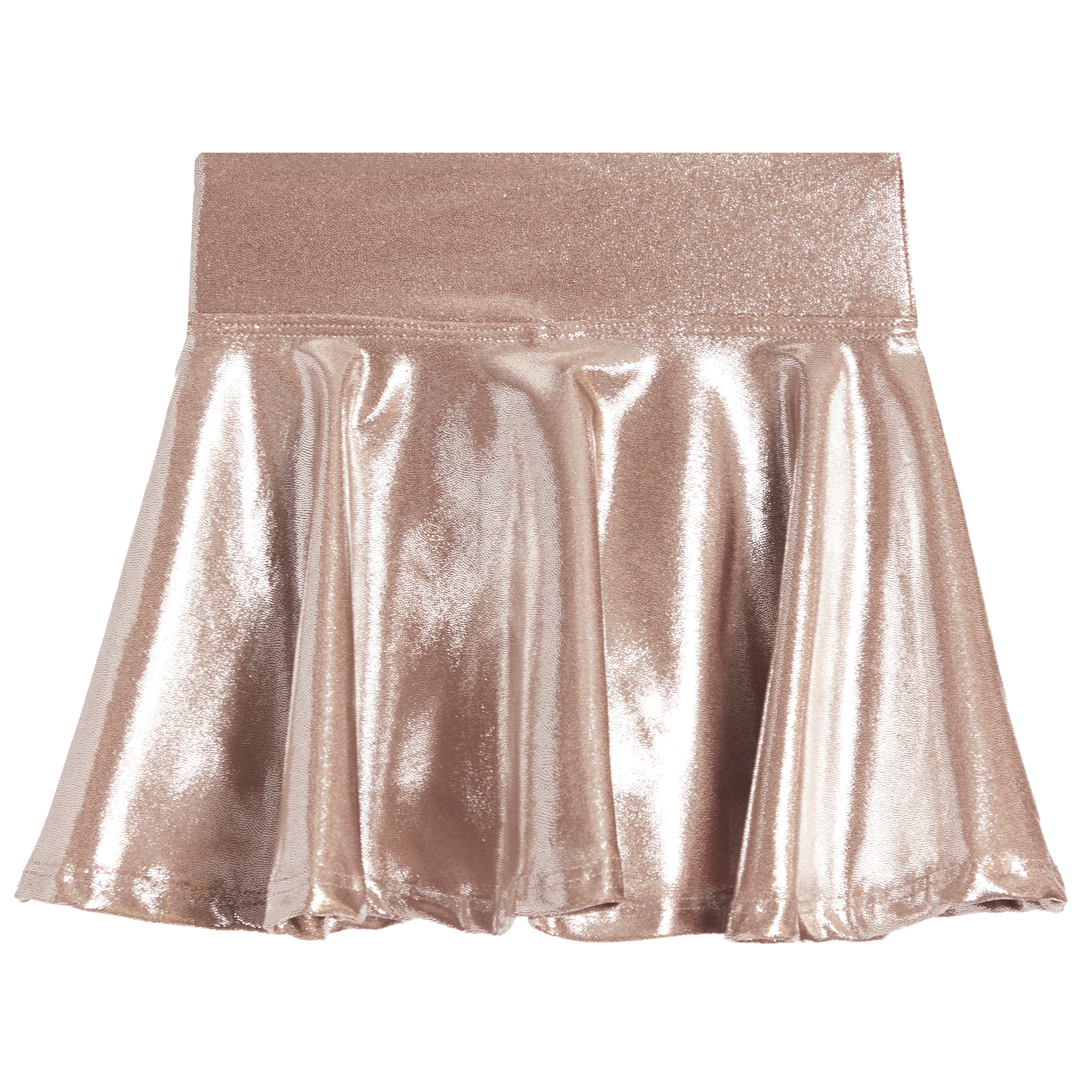 Lame Skirt - Denny's