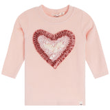 2pc Multi Velvet Heart - Denny's