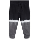 Engineer Tie Dye Jogger - Denny's