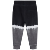 Engineer Tie Dye Jogger - Denny's