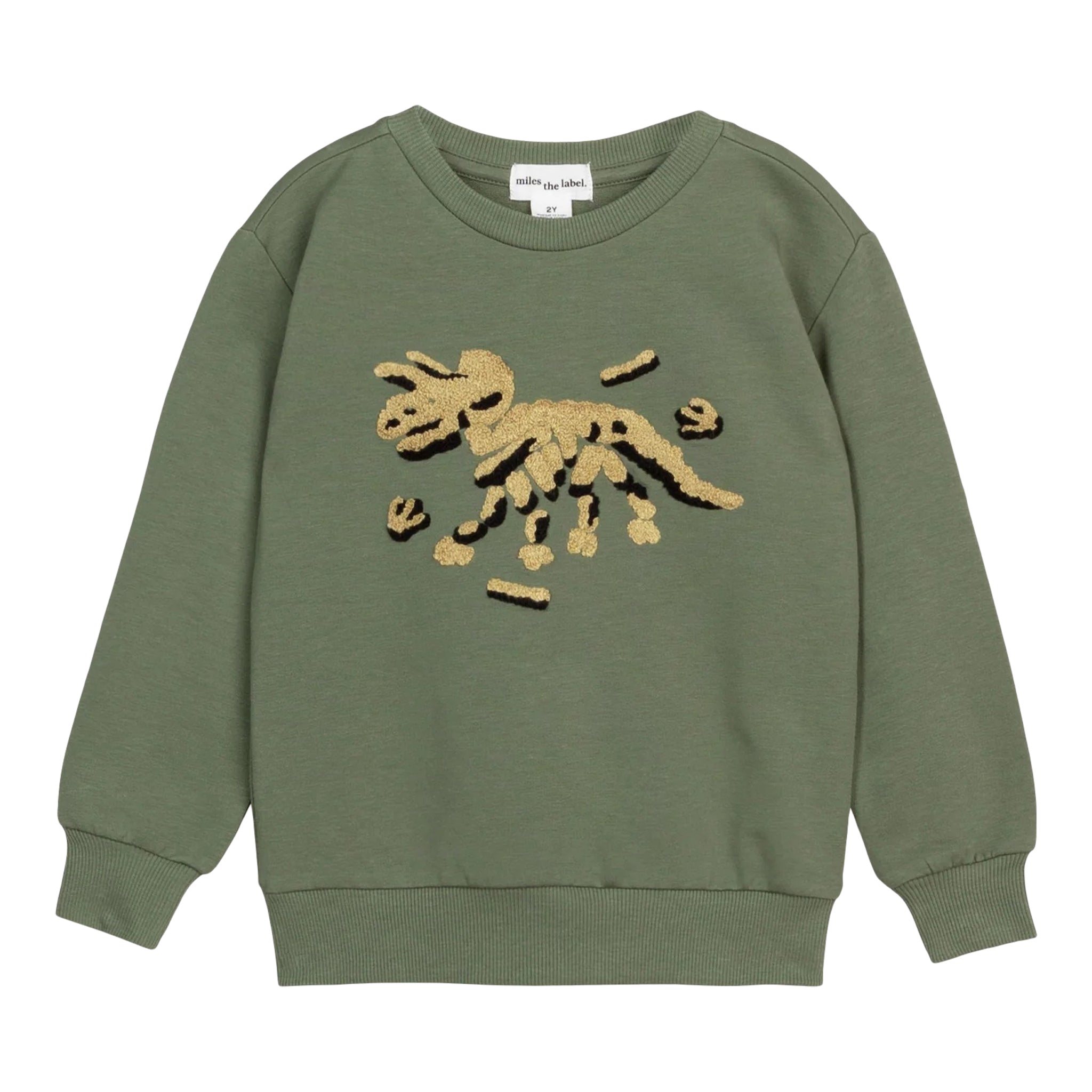 Dino Fossil Sweatshirt - Denny's