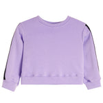 Sport Stripe Fleece Sweatshirt - Denny's