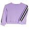Sport Stripe Fleece Sweatshirt - Denny's