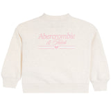 A&F Crew Sweatshirt