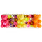 Crystallized and Gummy Bear Clip - Denny's