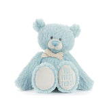 My 1st Teddy