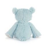 My 1st Teddy Big