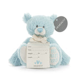 My 1st Teddy Big
