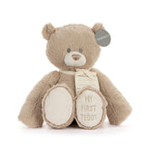 My 1st Teddy Big
