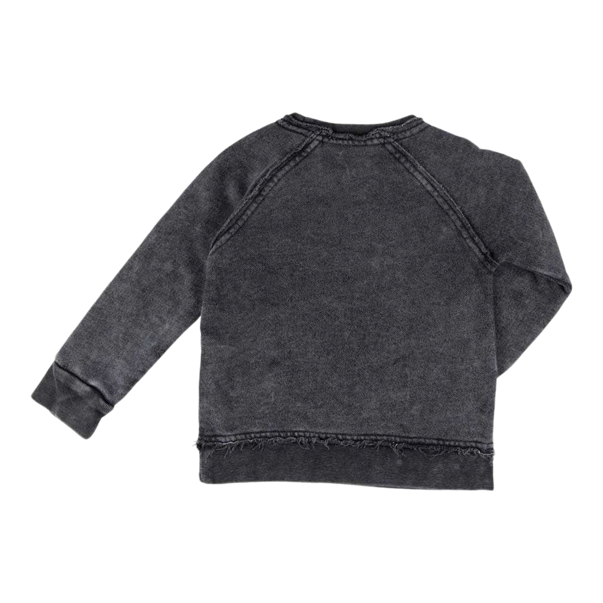 Iggy Crew Neck Sweatshirt - Denny's