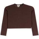 A brown ribbed long-sleeve crop top with a crew neck, displayed flat against a solid white background.