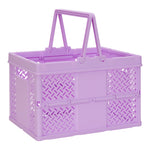 Large Foldable Storage Crate - Denny's
