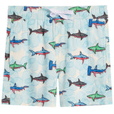 Sharks Swim
