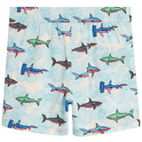 Sharks Swim