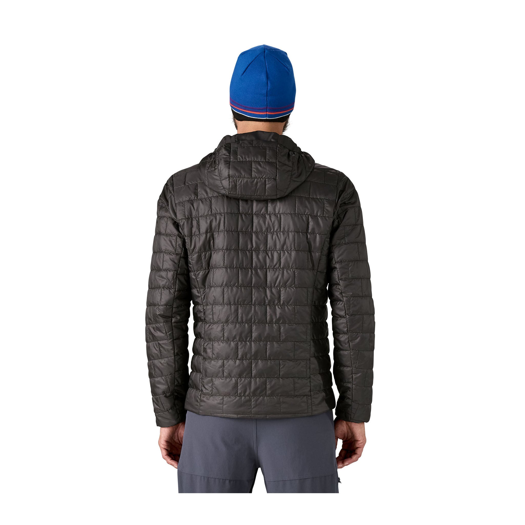 Nano Puff Hooded Jacket - Denny's