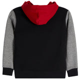 Brooklyn Colorblock Fleece Hoodie - Denny's