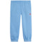 Light blue sweatpants with an elastic waistband and cuffs, featuring a small red and white Jordan logo on the left thigh, shown against a plain white background.