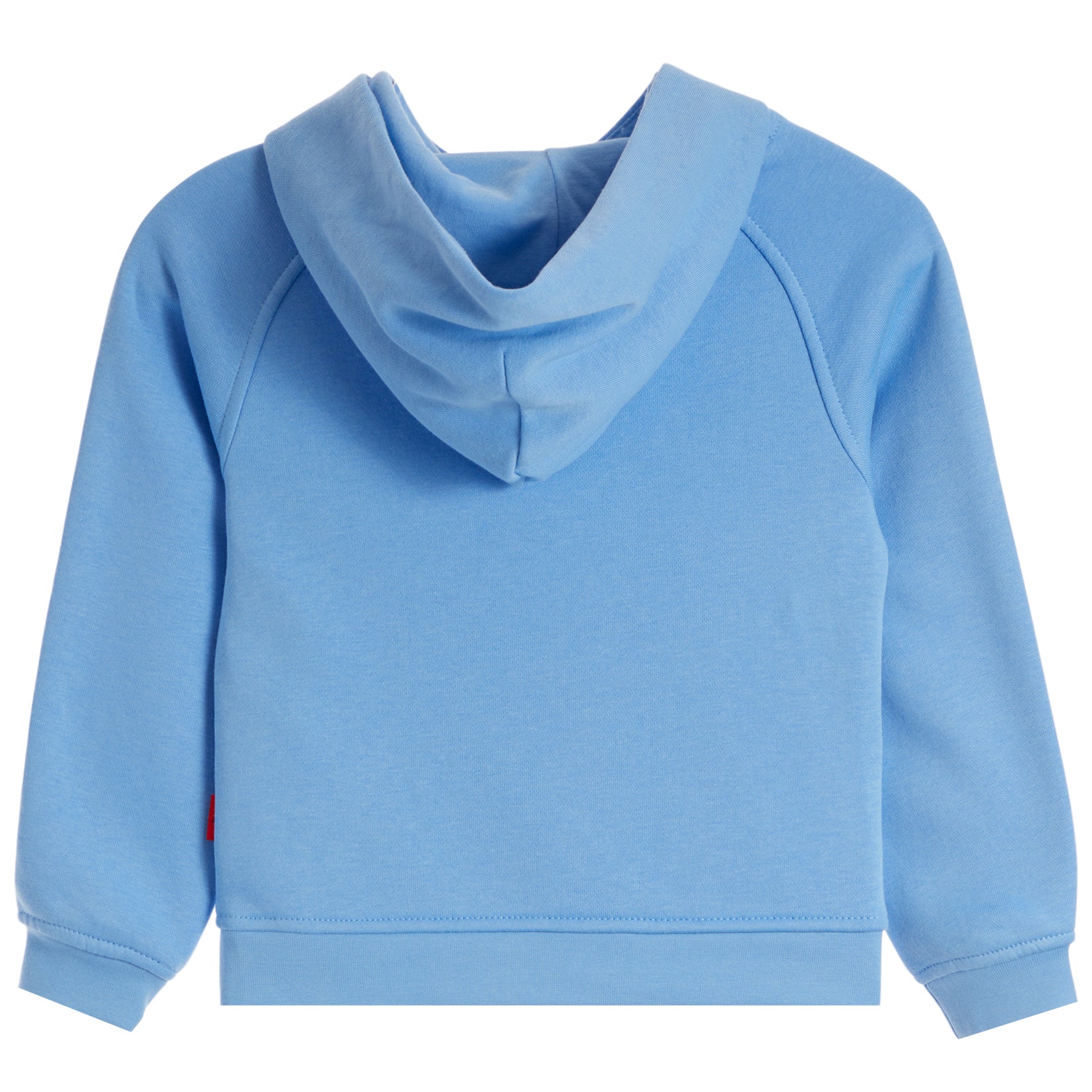 A light blue hooded sweatshirt shown from the back, featuring raglan sleeves and ribbed cuffs and hem, on a solid white background.