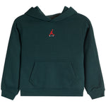 forest green Jordan air hooded sweatshirt