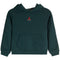 forest green Jordan air hooded sweatshirt