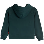 A dark green hooded sweatshirt shown from the back, featuring a simple back view with a small red tag on the left sleeve cuff, set against a plain white background.