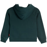 A dark green hooded sweatshirt shown from the back, featuring a simple back view with a small red tag on the left sleeve cuff, set against a plain white background.