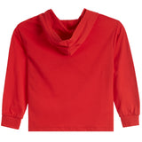 Jumpman Air Long Sleeve Hooded Tee