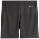 Swoosh Short - Denny's