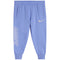 Shine Fleece Jogger - Denny's