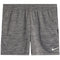Dri-Fit Multi Short - Denny's