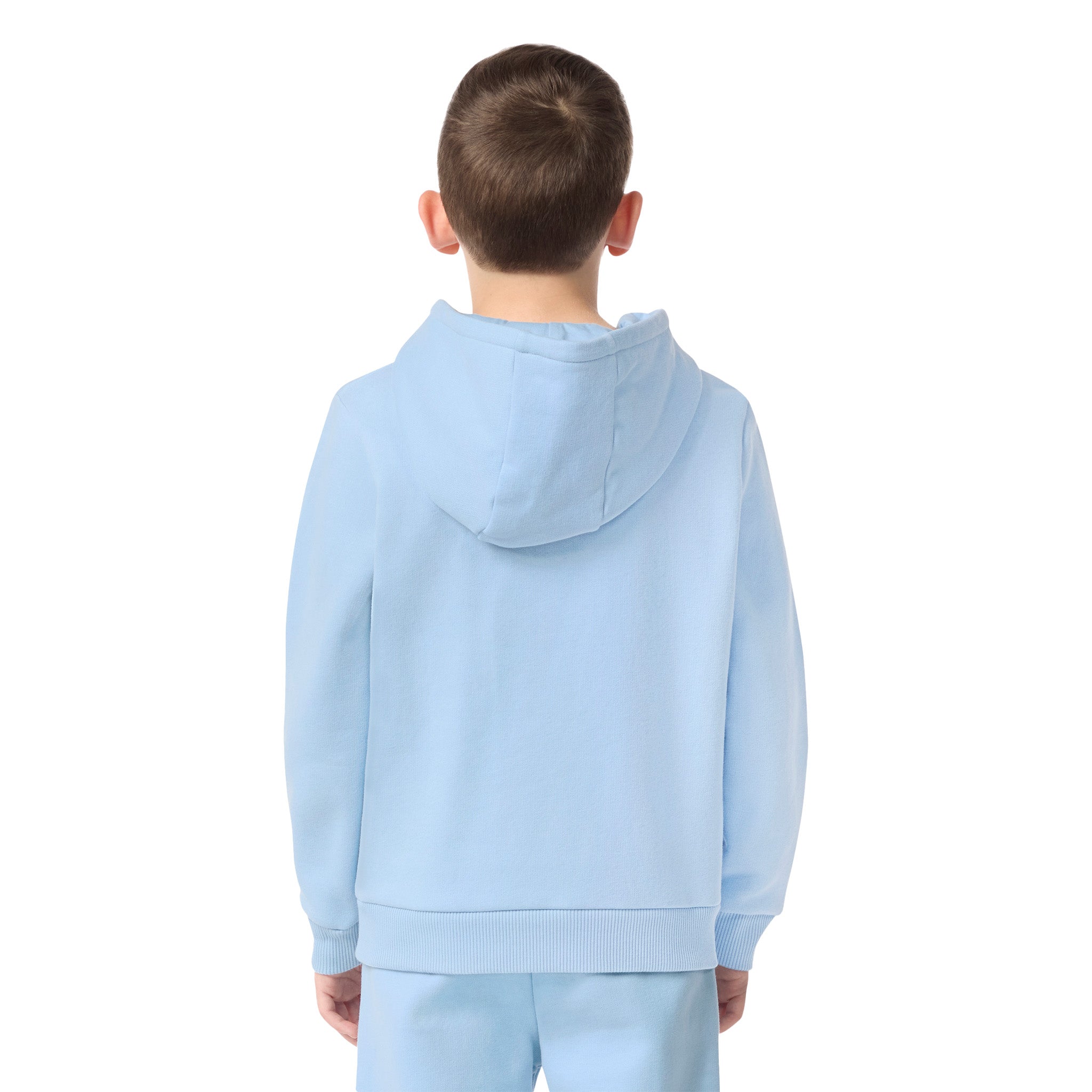Fleece Pullover Hoodie Panorama Blue - Denny's