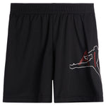 Jumpman Big Air Mesh Short - Denny's