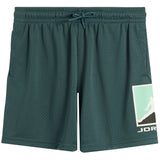 Jordan Baseline Short