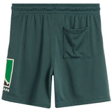 Jordan Baseline Short