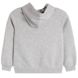 MJ Core Sport Hoodie